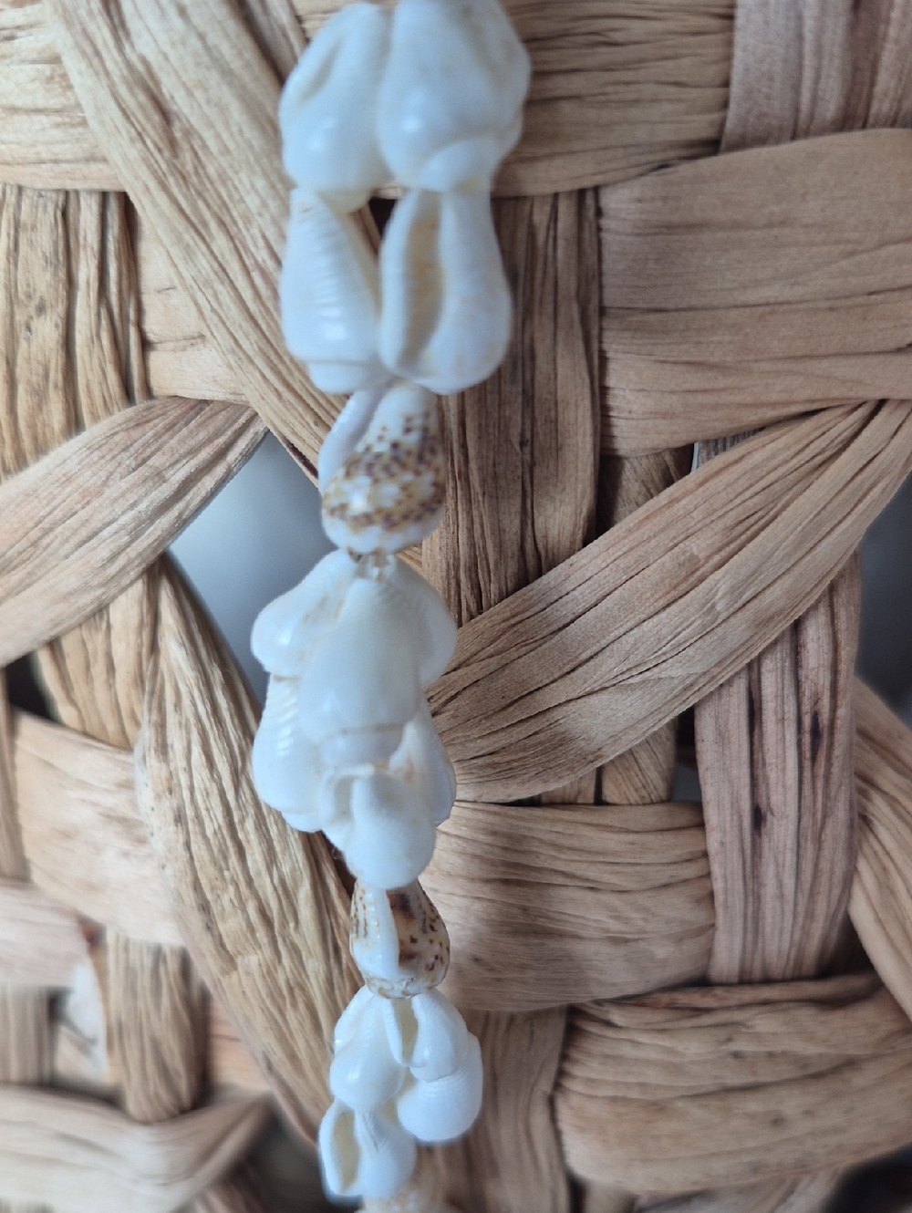 Sea Shell Necklace NEW - Picture 13 of 15
